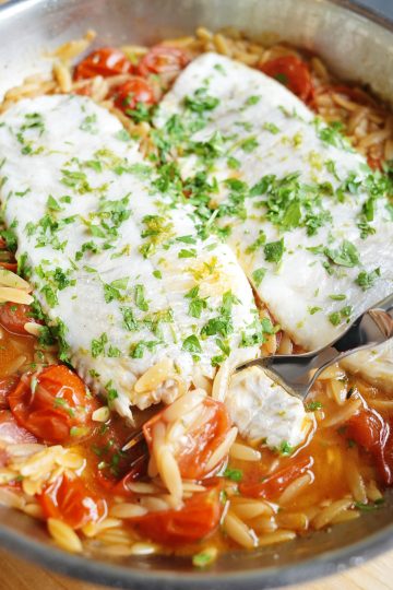 Mediterranean Sea Bass