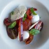 tomato from flesh to essence