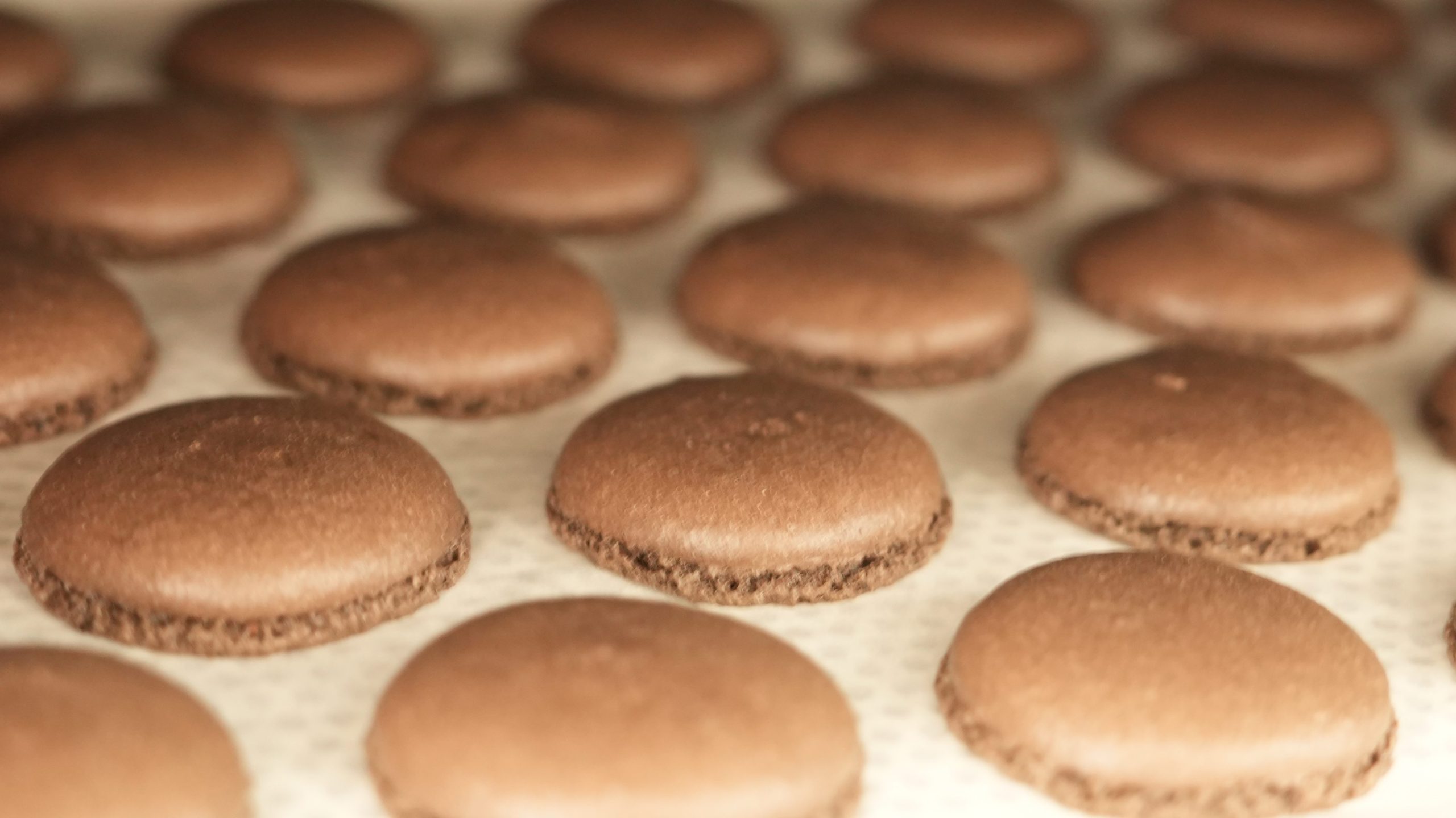 Chocolate Macaron
