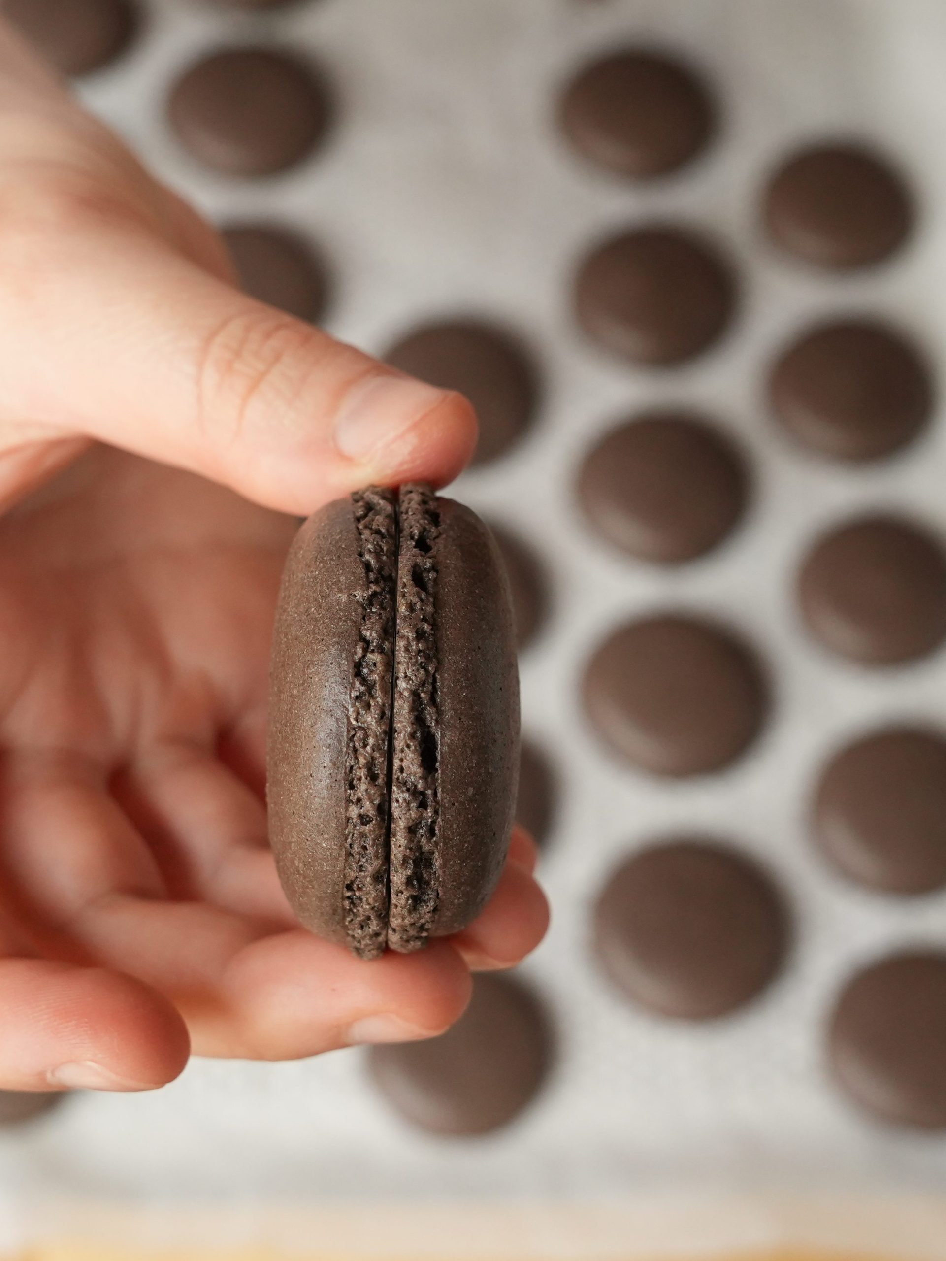 Chocolate Macaron