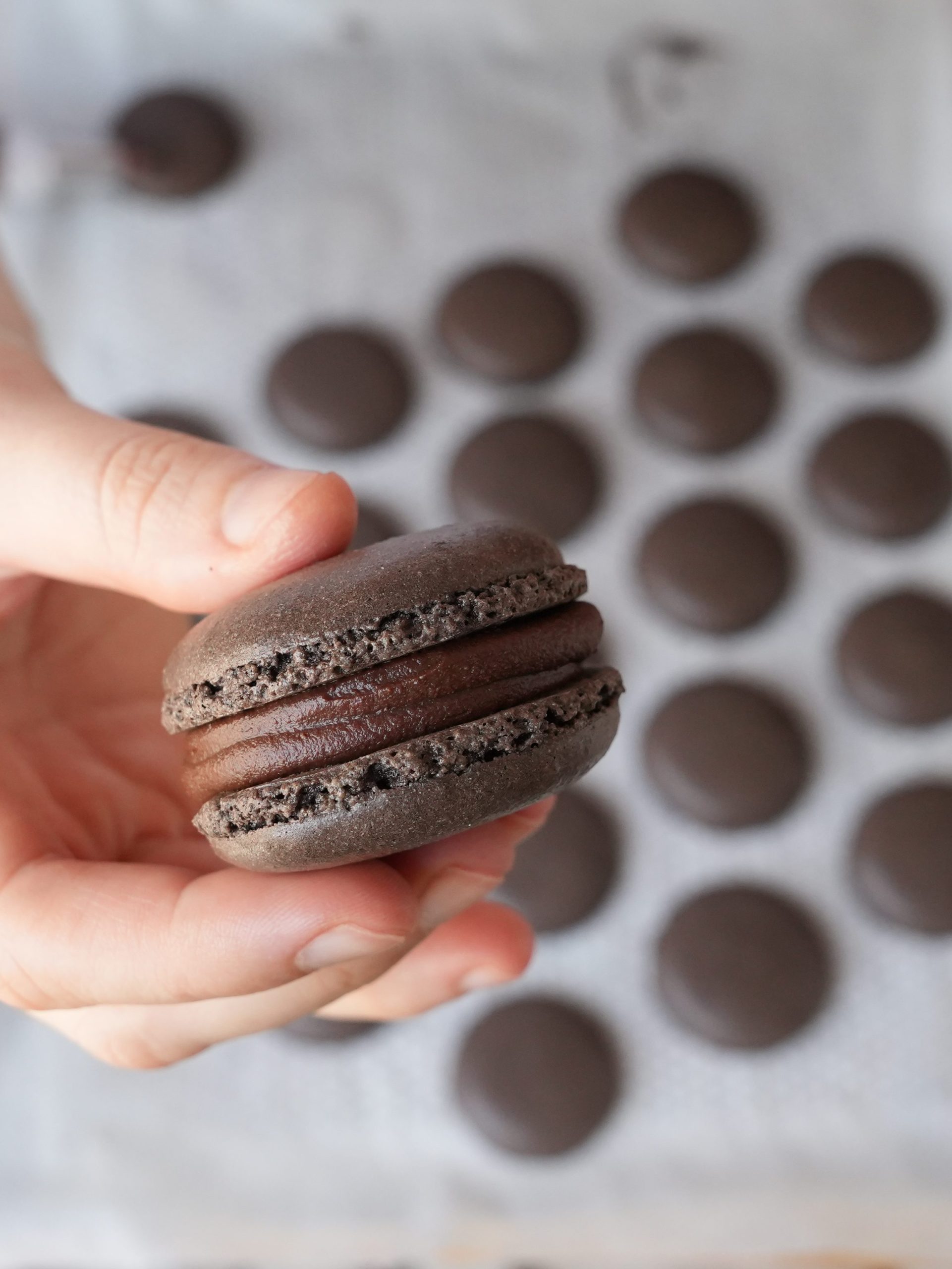 Chocolate Macaron
