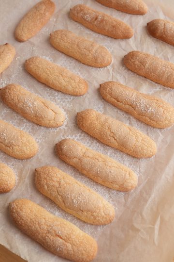 Ladyfingers